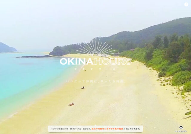ANA OKINAHOURS