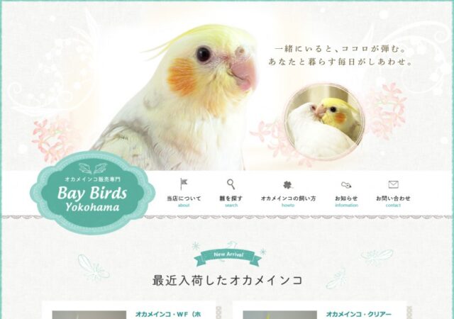 Bay Birds